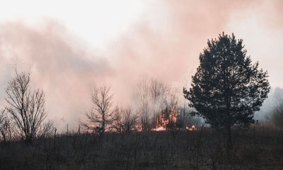 Edmonton Real Estate Lawyer Wildfire Home Purchase Issues in Edmonton