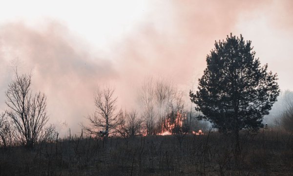Edmonton Real Estate Lawyer Wildfire Home Purchase Issues in Edmonton
